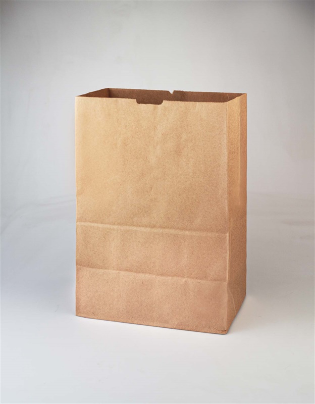 A brown recyclable grocery bag