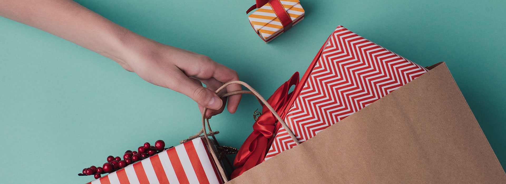 Woman's arm hold paper bags