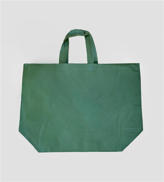 reusable green grocery tote bag